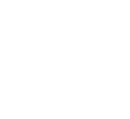 BRAC UNIVERSITY - DHAKA logo